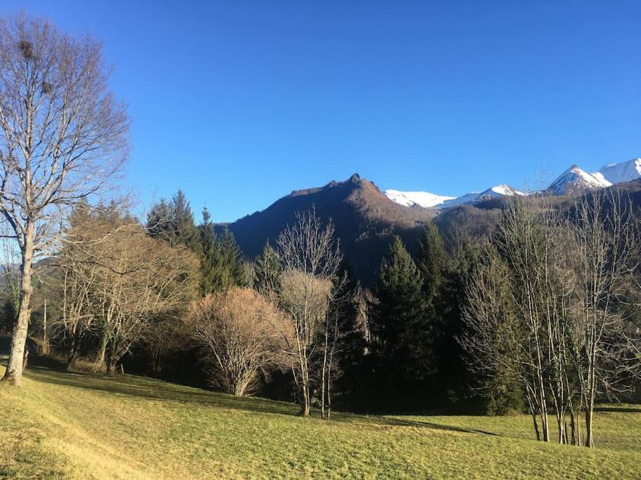 Top Floor Apartment With Mountain Views In The Centre Of Argeles Gazost Экстерьер фото